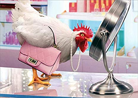 Chicken Makeup Mirror Birthday Card