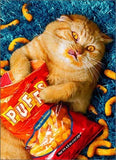 Cheese Puff Cat Birthday Card