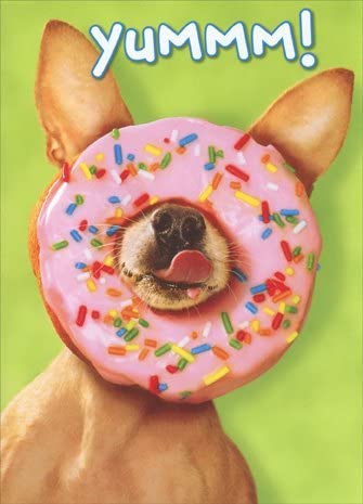 Donut Chihuahua Birthday Card