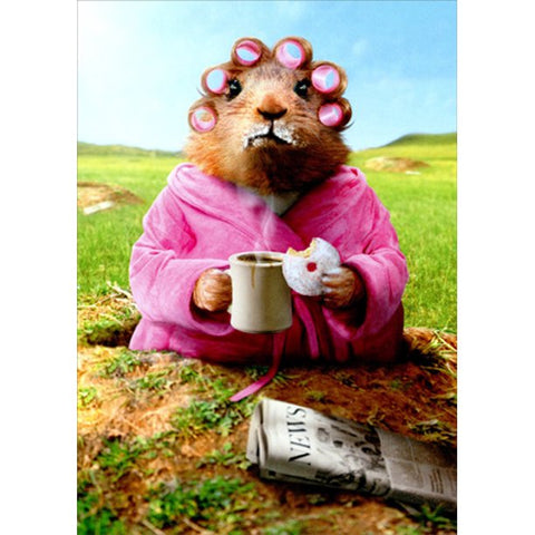 Morning Groundhog Funny Card