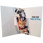 Dog/Cat Photo Booth Birthday Card
