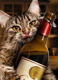 Cat with Wine Bottle Birthday Card