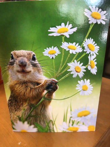 Squirrel Thank You Card