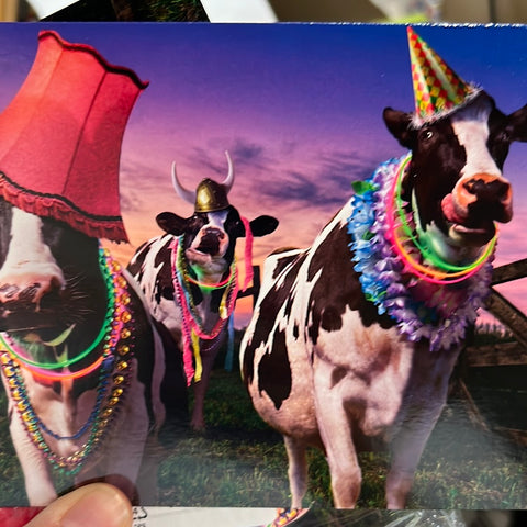 Party Cows Bday Card