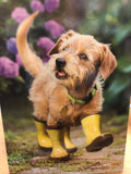Dog in Boots Sympathy Card
